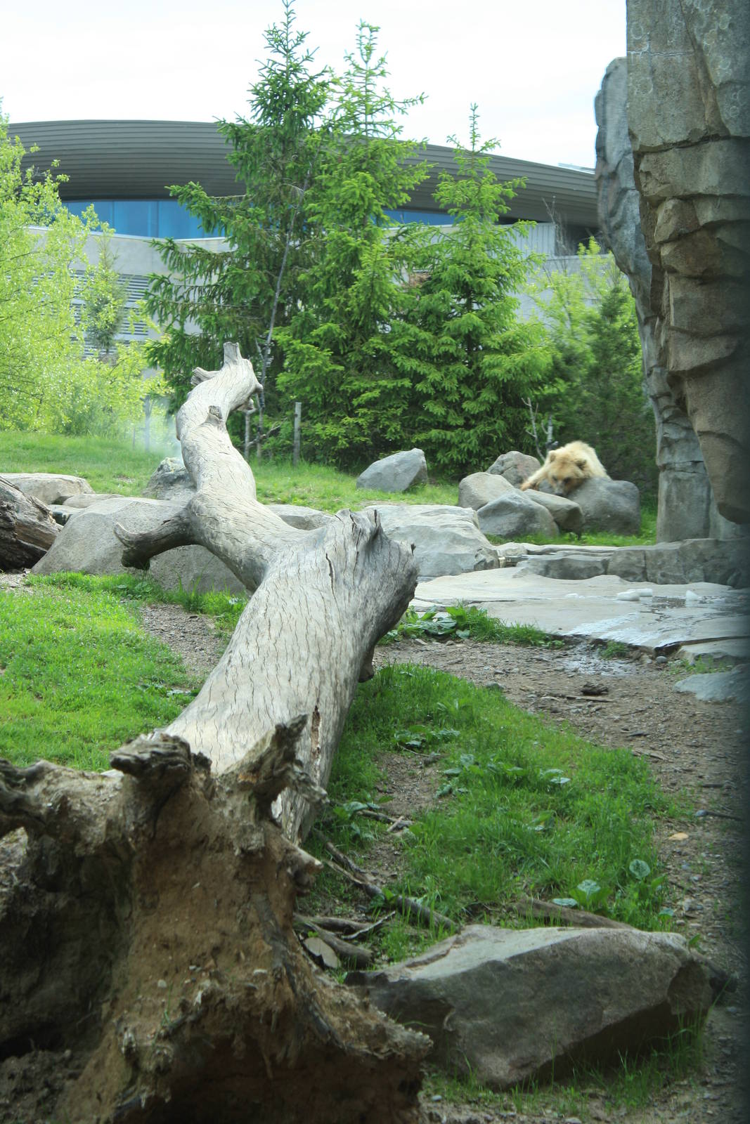 Russia's Grizzly Coast