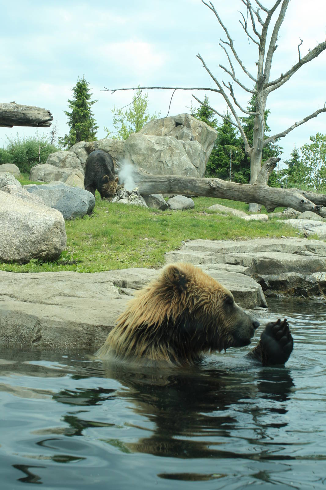 Russia's Grizzly Coast