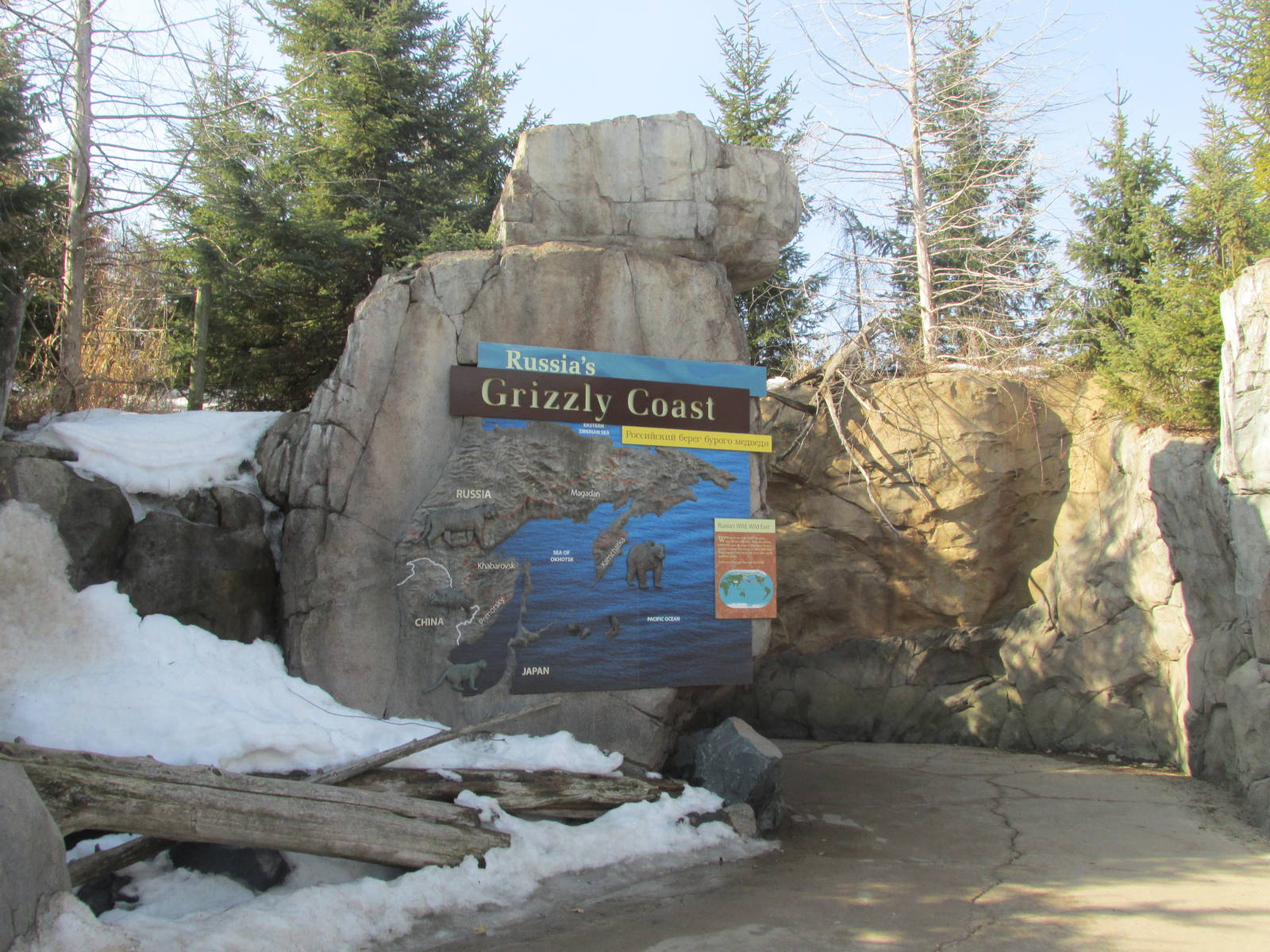 Russia's Grizzly Coast