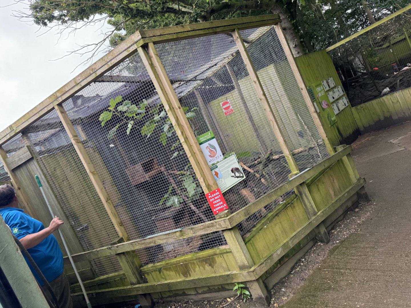 Rusty-spotted Cat Enclosure at Bridlington Animal Park (July 2024)
