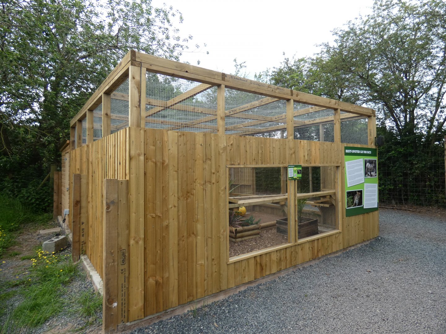 Rusty-spotted Cat enclosure