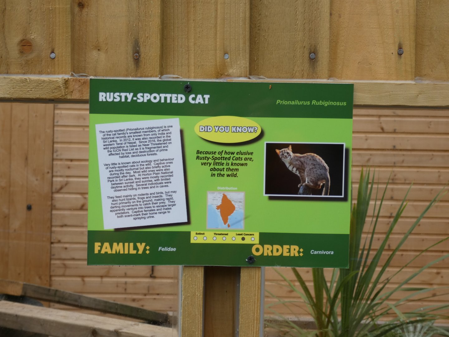 Rusty-spotted Cat signage