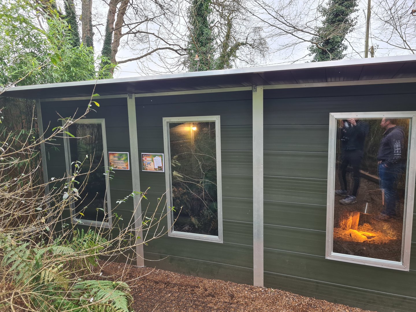 Rusty Spotted Cat, Vontsira, and Echidna Shed