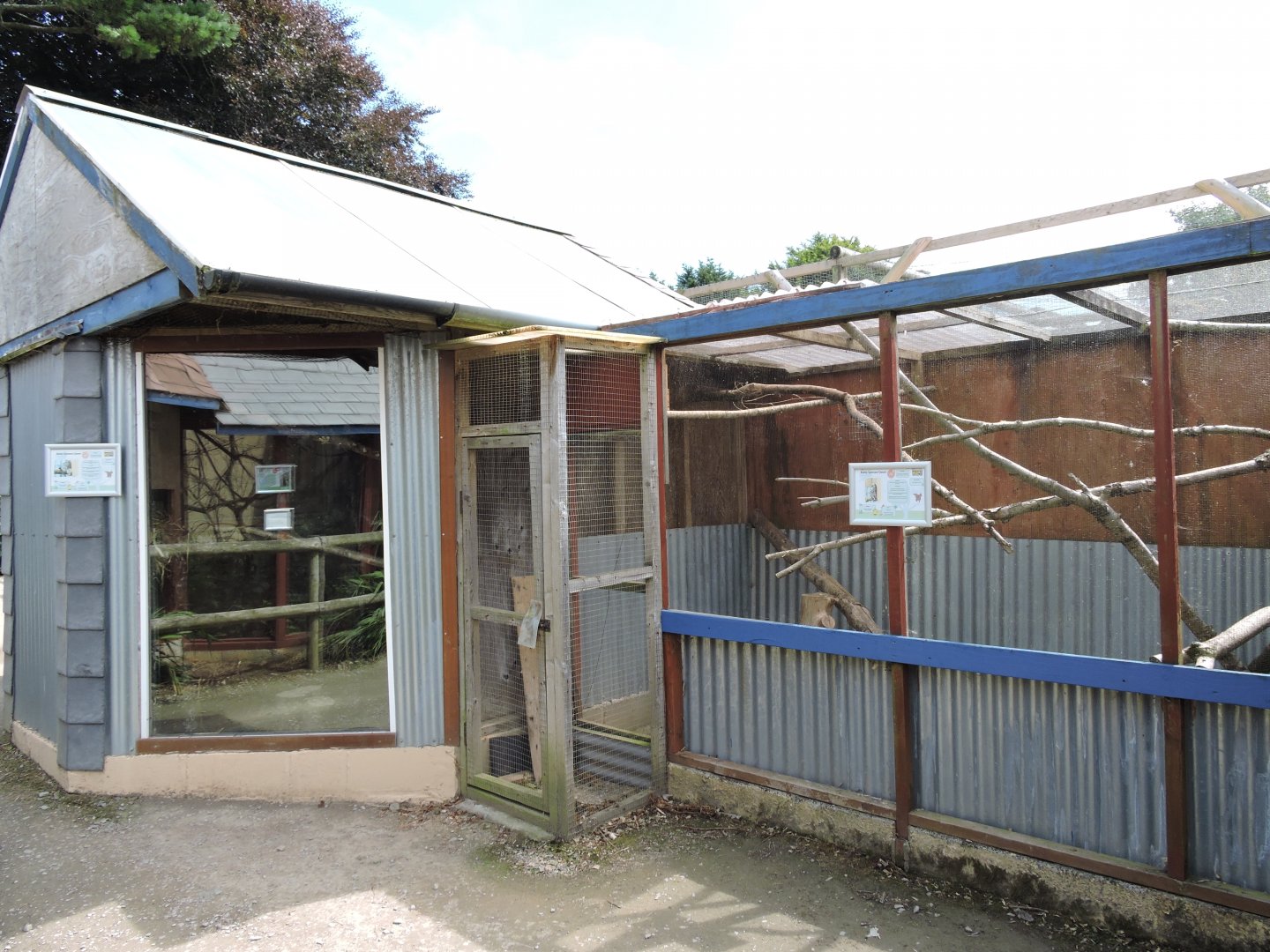 Rusty Spotted Genet Enclosure