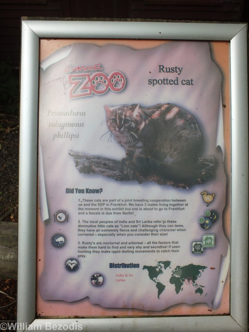 Rusty the Spotted Cat (as the sign was interpreted by other visitors)