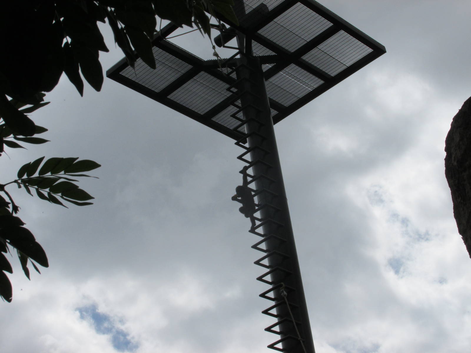 ruta orangutan  guadalajara zoo