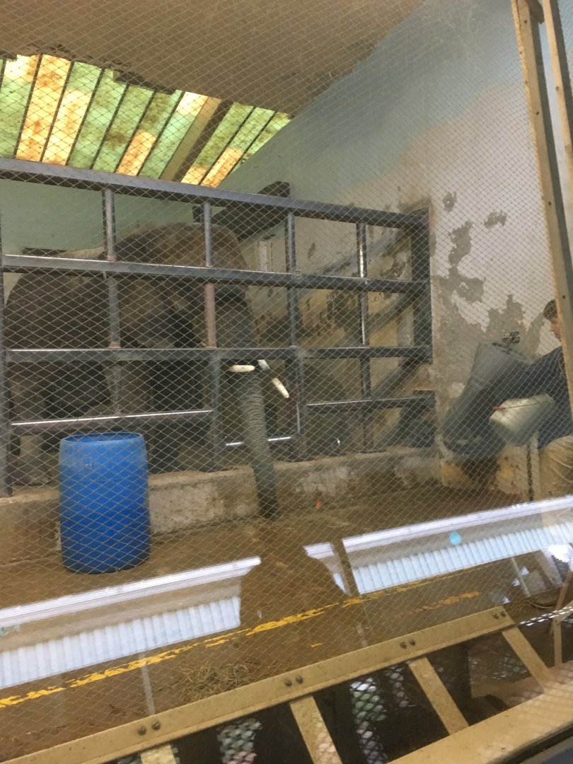 Ruth in training session