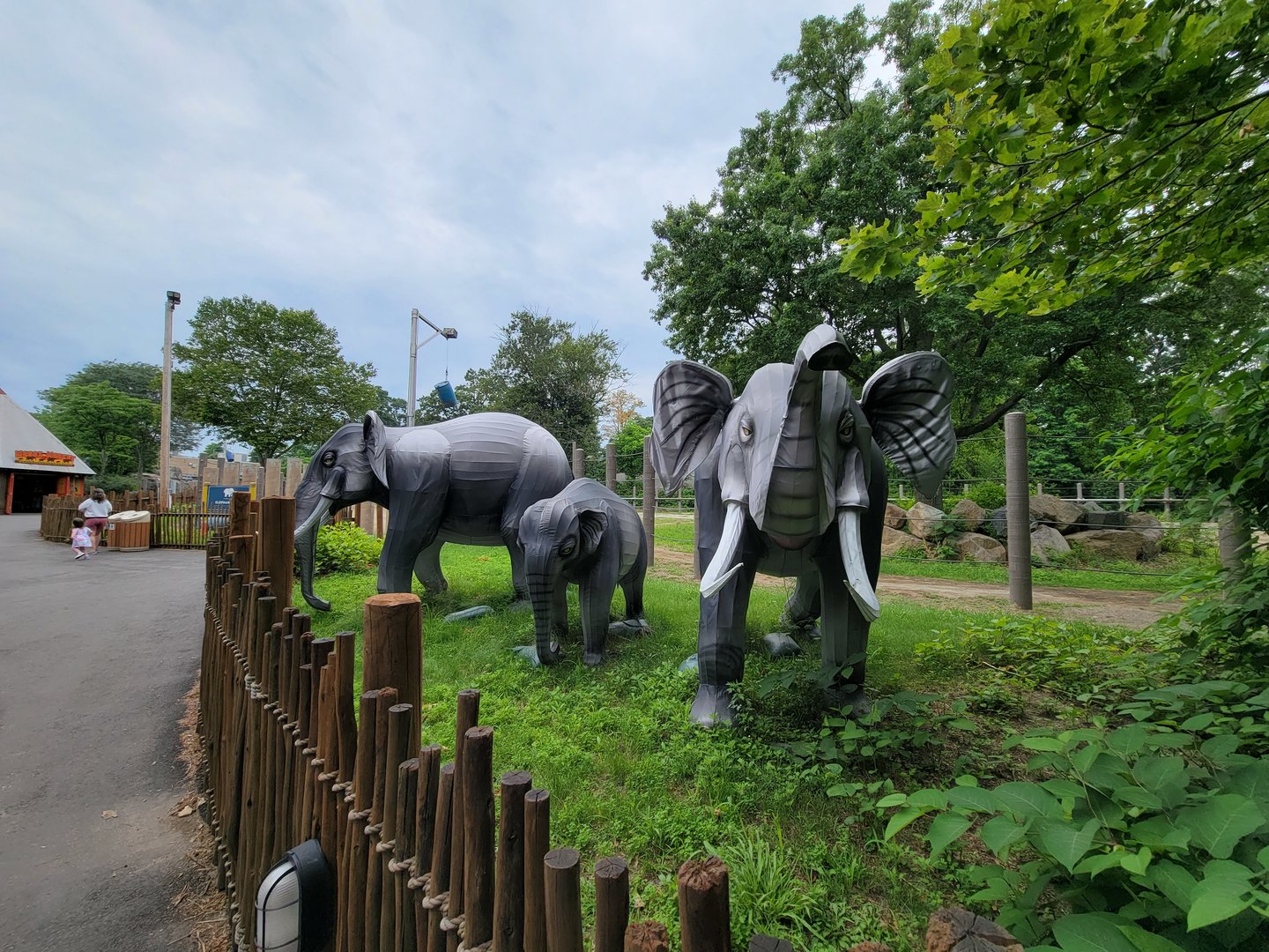 RWPZ 7/22 - African elephants