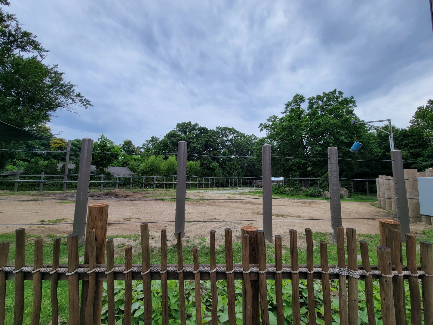 RWPZ 7/22 - African elephants