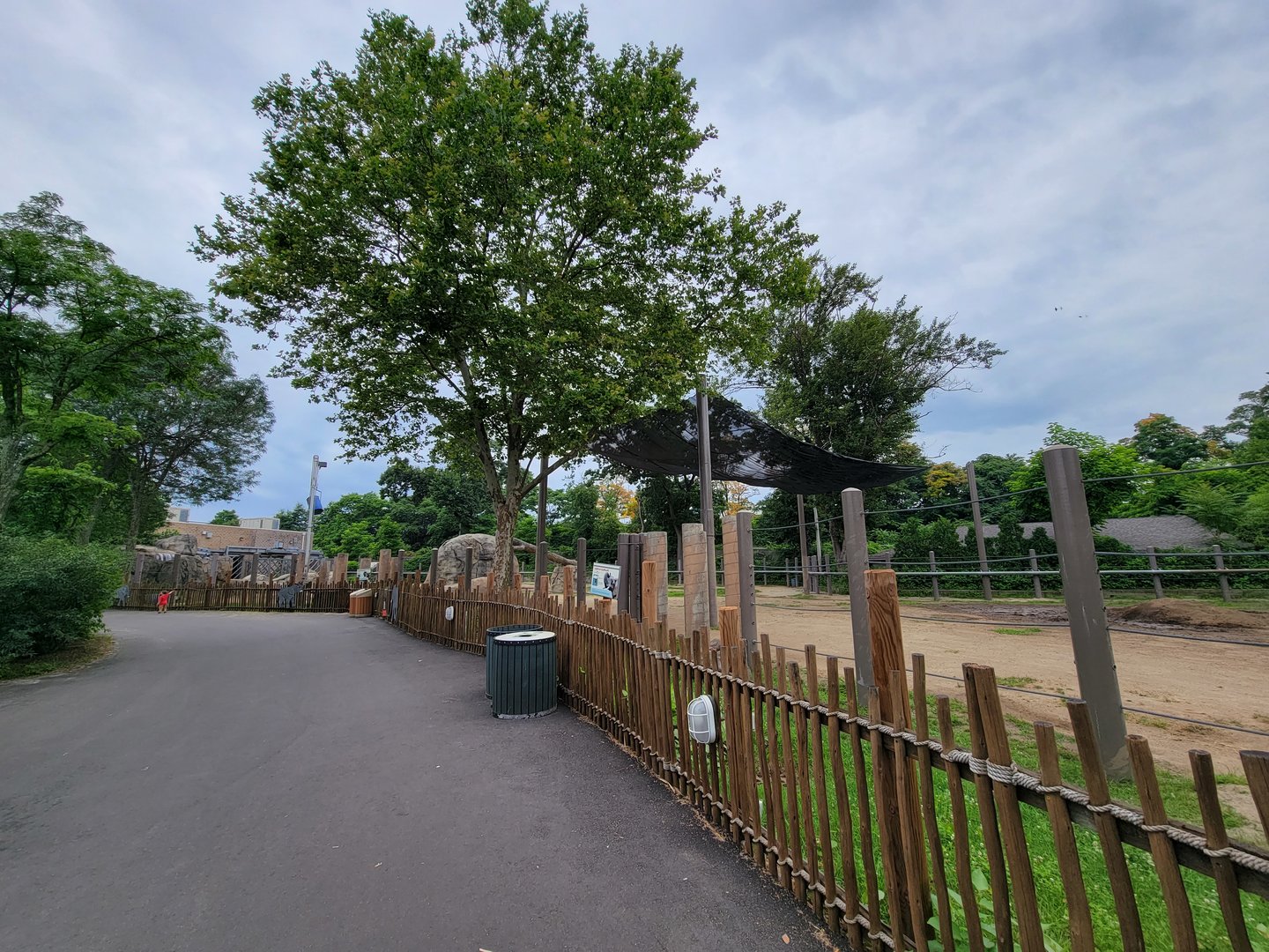 RWPZ 7/22 - African elephants