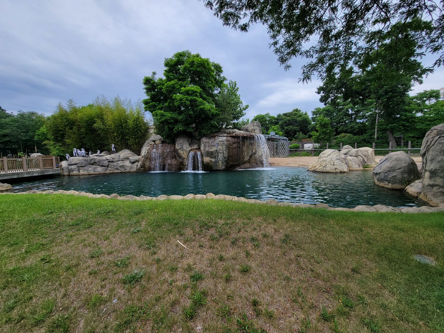 RWPZ 7/22 - African elephants