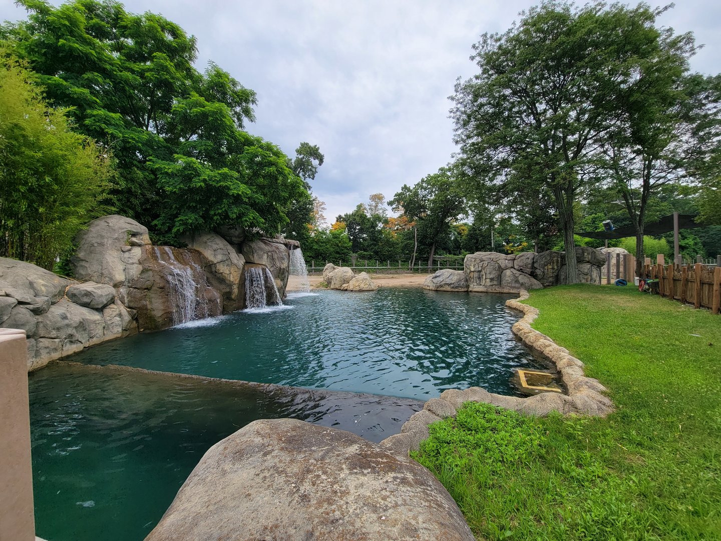 RWPZ 7/22 - African elephants