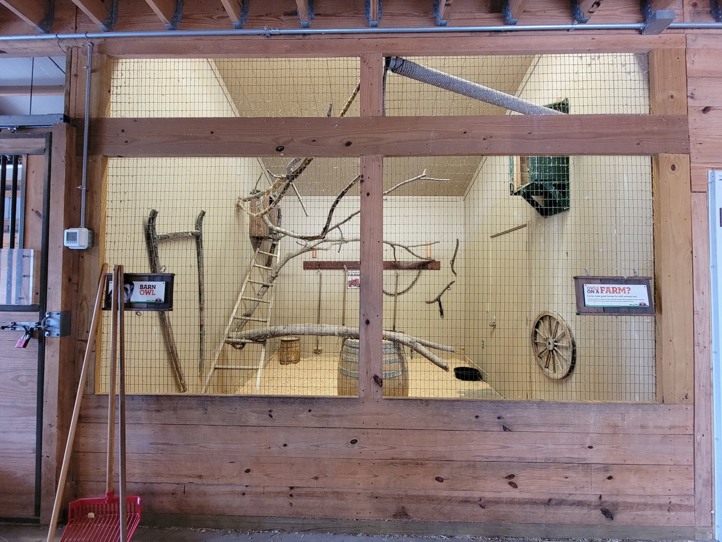 RWPZ 7/22 - Alex & Ani Farmyard, Barn Owl