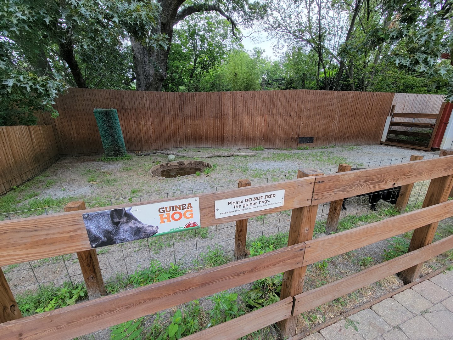 RWPZ 7/22 - Alex & Ani Farmyard