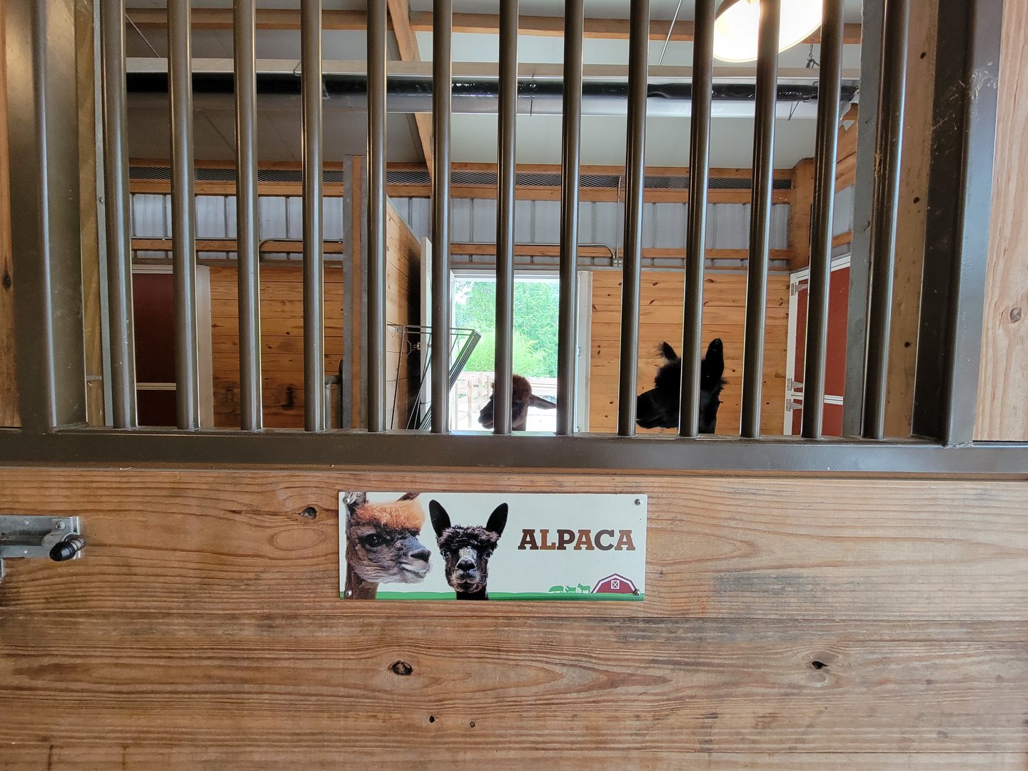 RWPZ 7/22 - Alex & Ani Farmyard