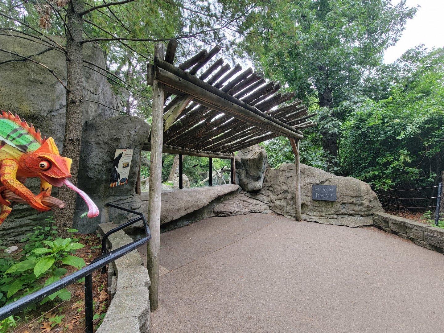 RWPZ 7/22 - Asiatic black bear, upper window