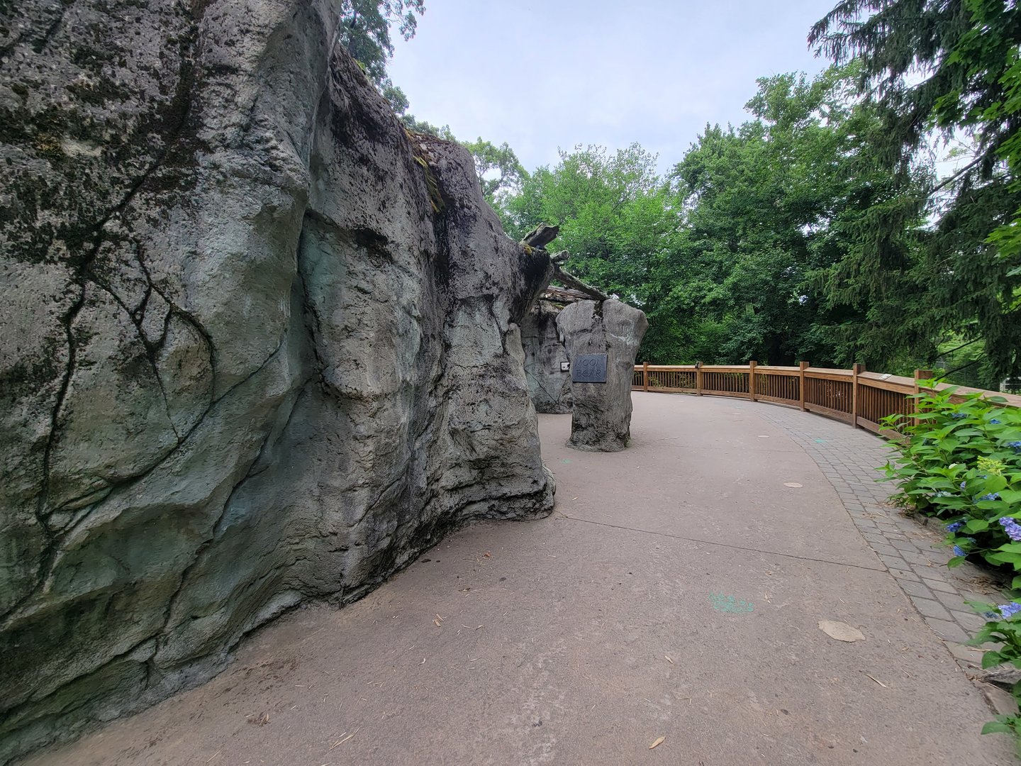 RWPZ 7/22 - Asiatic black bear