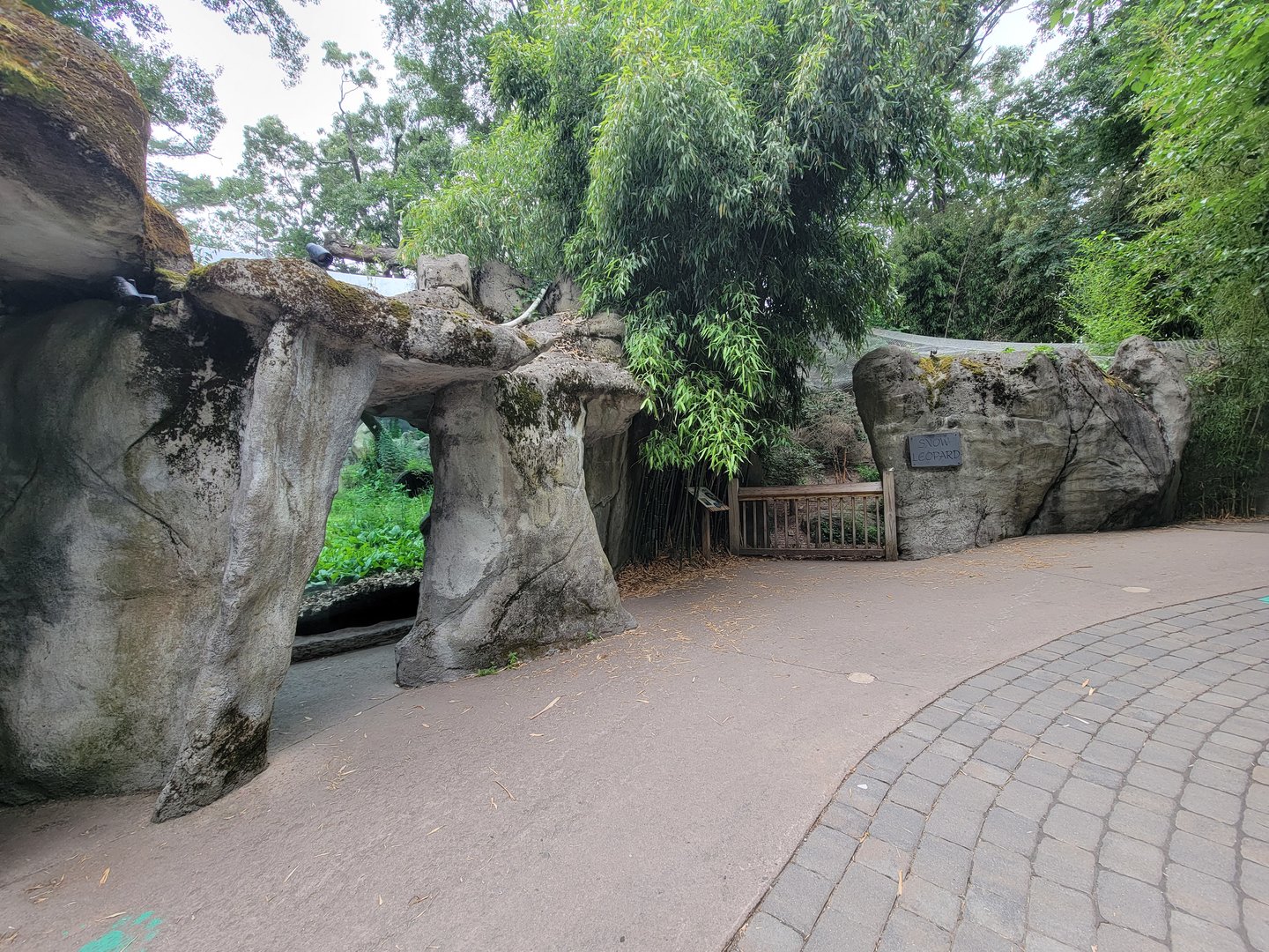 RWPZ 7/22 - Asiatic black bear