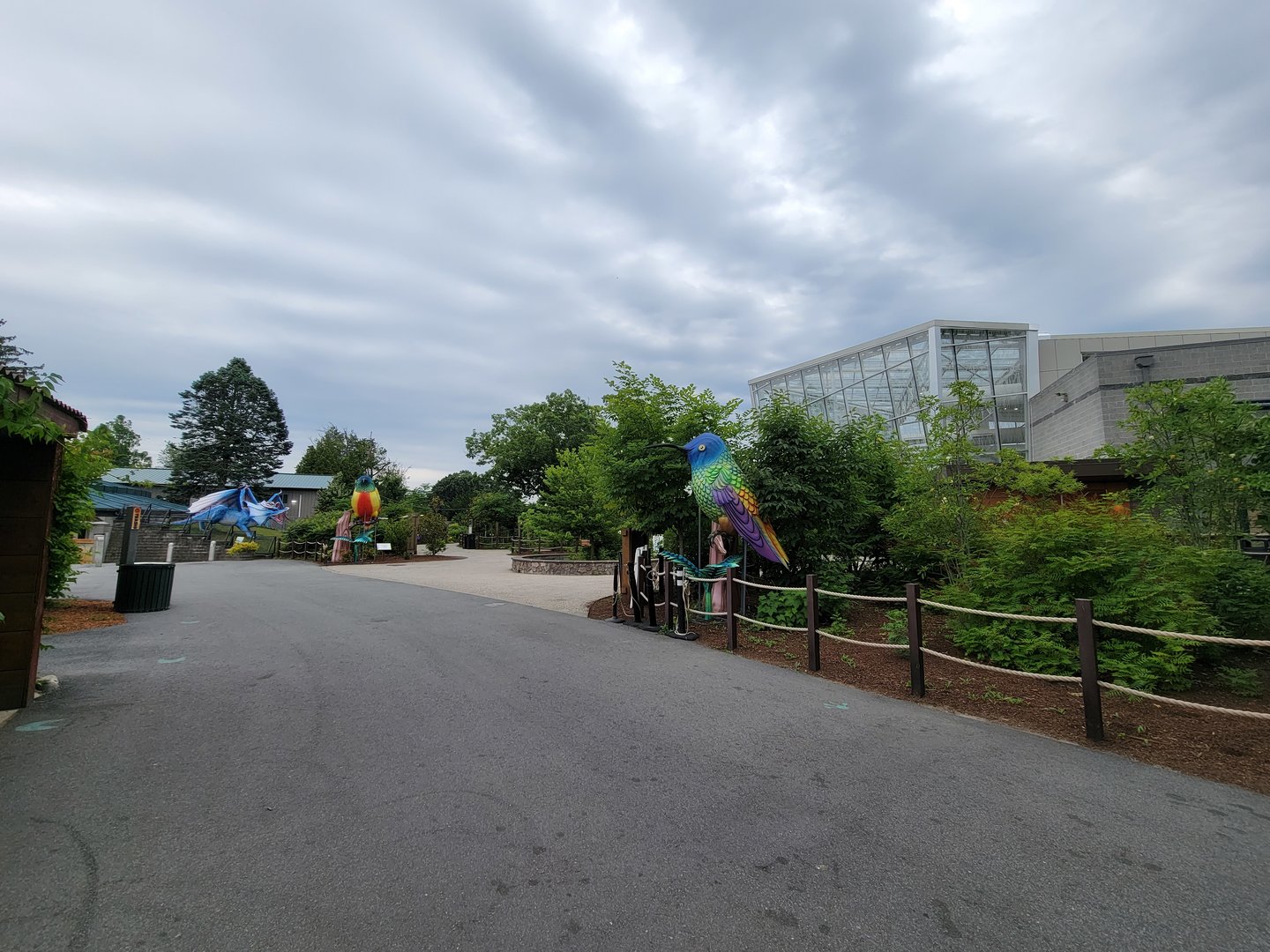 RWPZ 7/22 - Coming up to Faces of the Rainforest