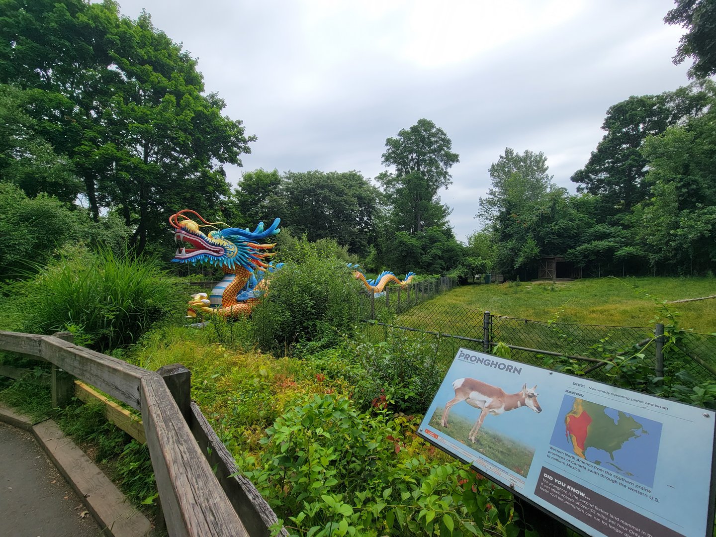 RWPZ 7/22 - Dragon lantern next to pronghorn & wild turkey