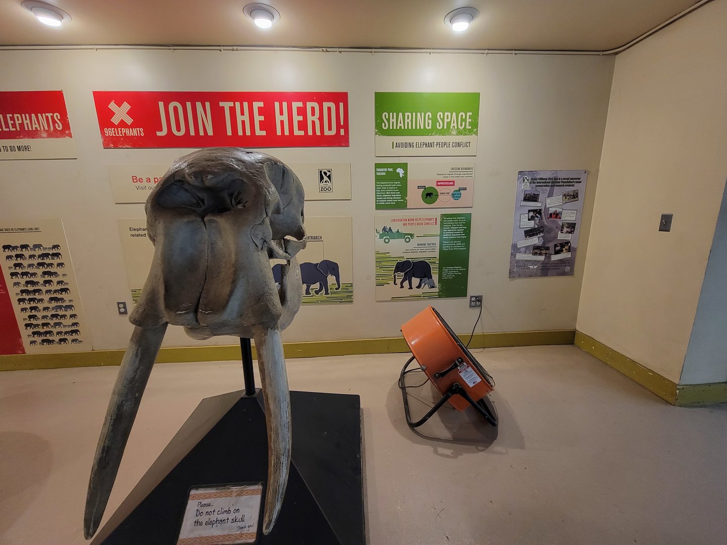 RWPZ 7/22 - Elephant Giraffe Pavilion