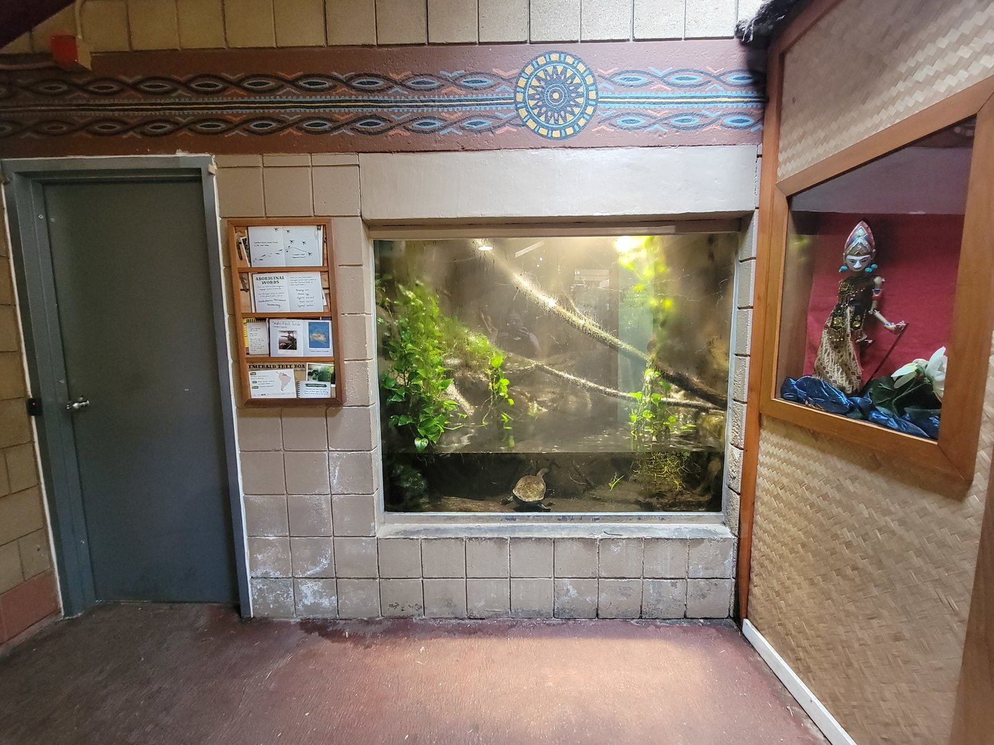 RWPZ 7/22 - Emerald tree boa, eastern long-necked turtle