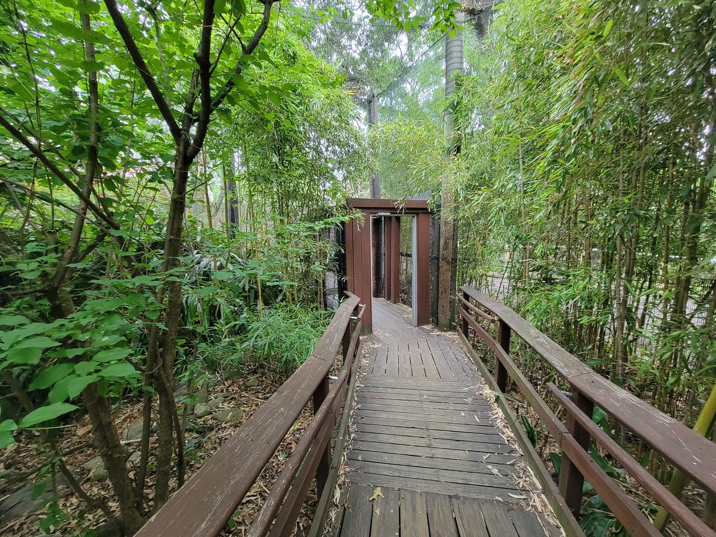 RWPZ 7/22 - Exit from king vulture exhibit