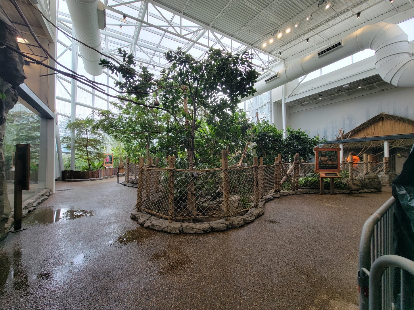 RWPZ 7/22 - Faces of the Rainforest, center