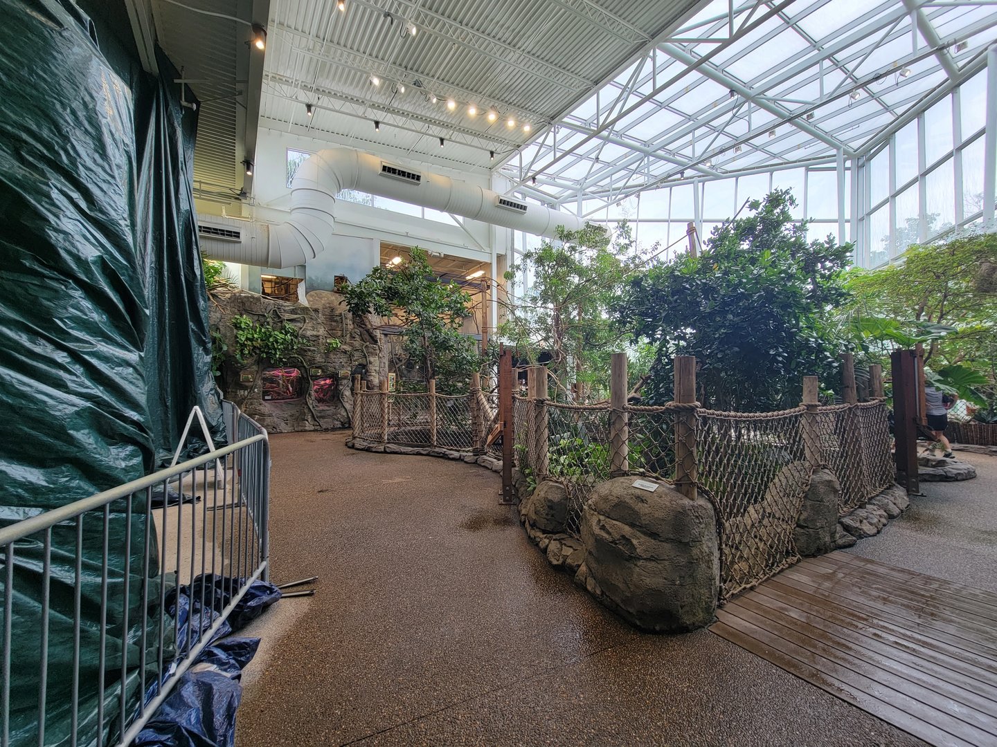 RWPZ 7/22 - Faces of the Rainforest, center