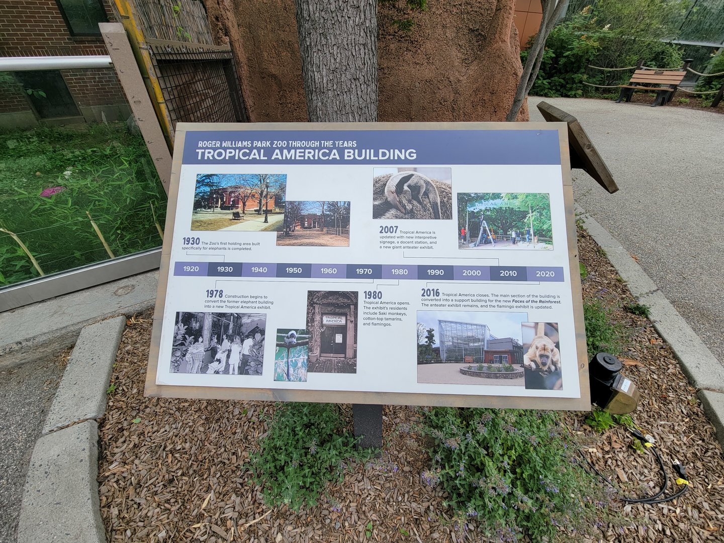 RWPZ 7/22 - Faces of the Rainforest history