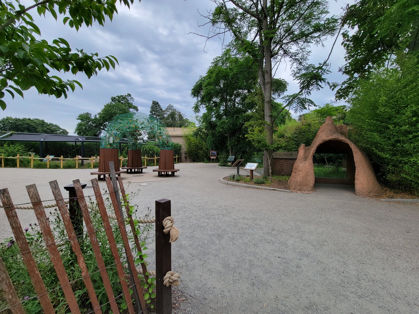 RWPZ 7/22 - Faces of the Rainforest outside area