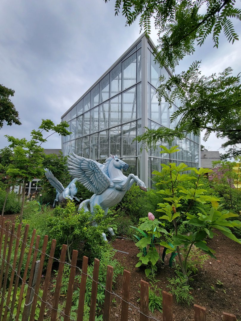 RWPZ 7/22 - Faces of the Rainforest