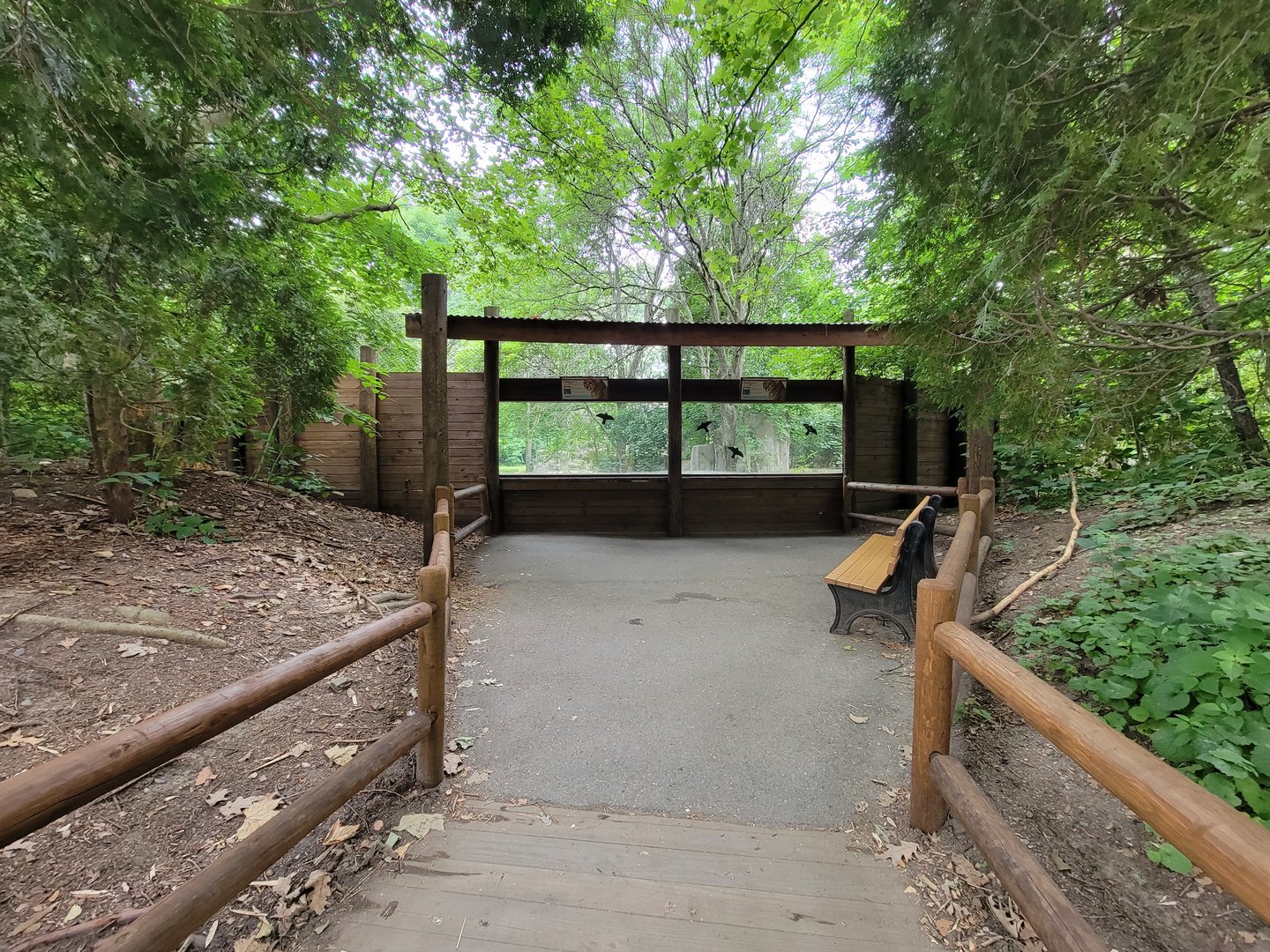 RWPZ 7/22 - First cheetah viewing