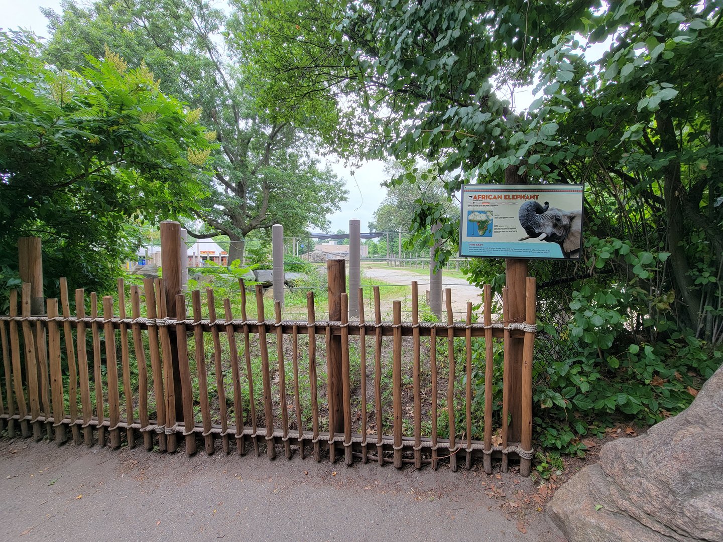 RWPZ 7/22 - First spot to see the elephants from