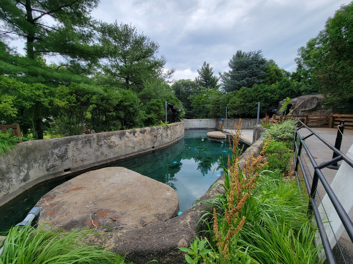 RWPZ 7/22 - Former harbor seal pool