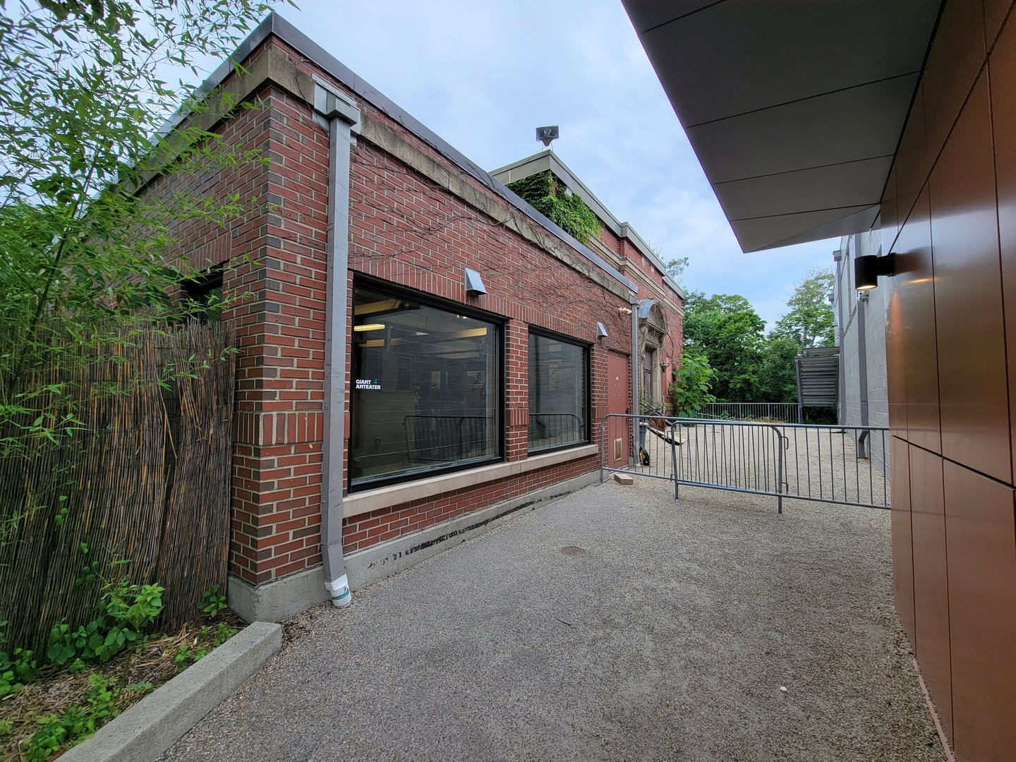 RWPZ 7/22 - Giant anteater indoor viewing