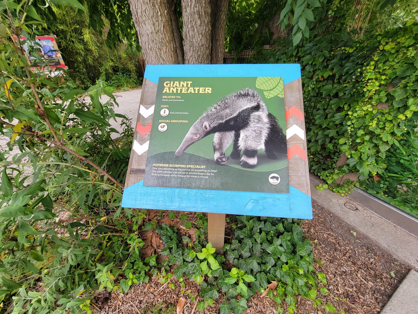 RWPZ 7/22 - Giant anteater sign