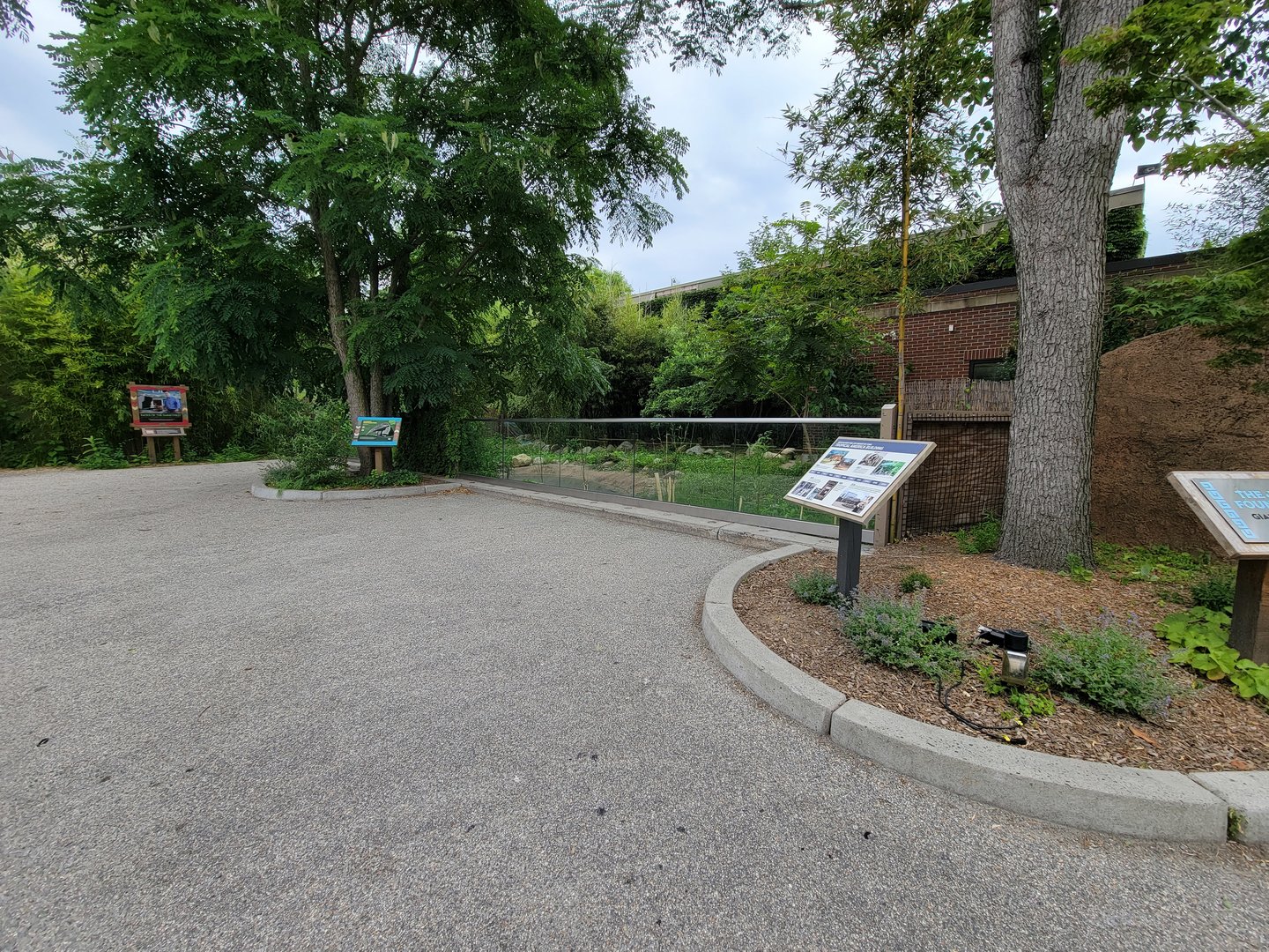 RWPZ 7/22 - Giant anteaters