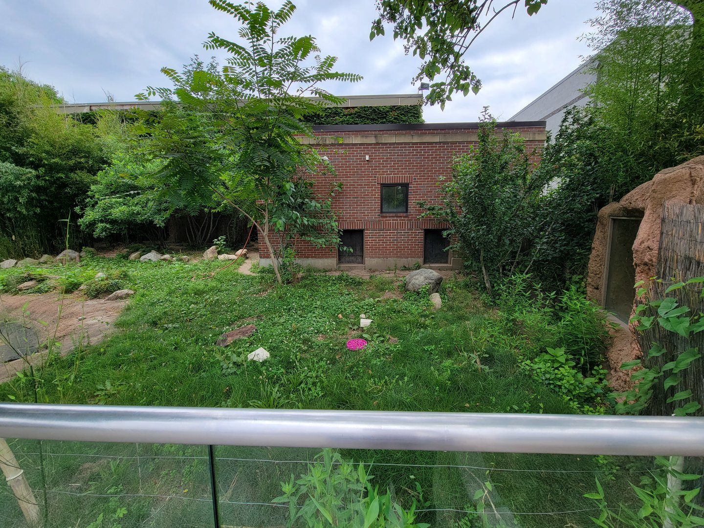 RWPZ 7/22 - Giant anteaters