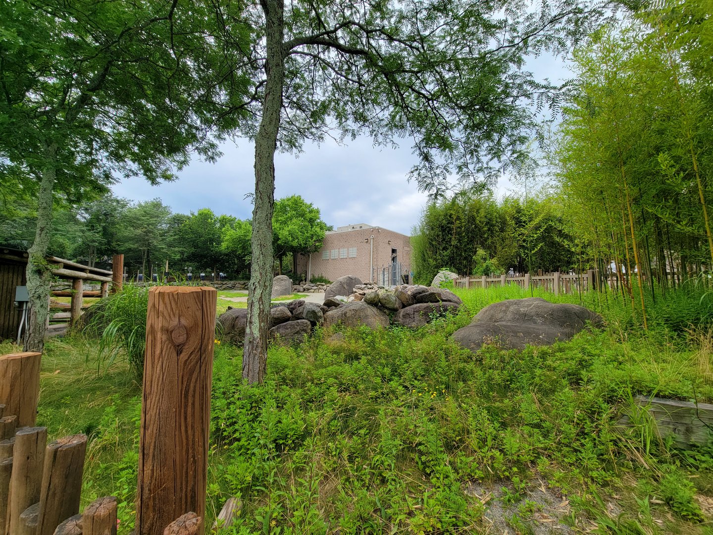 RWPZ 7/22 - Giraffe yard