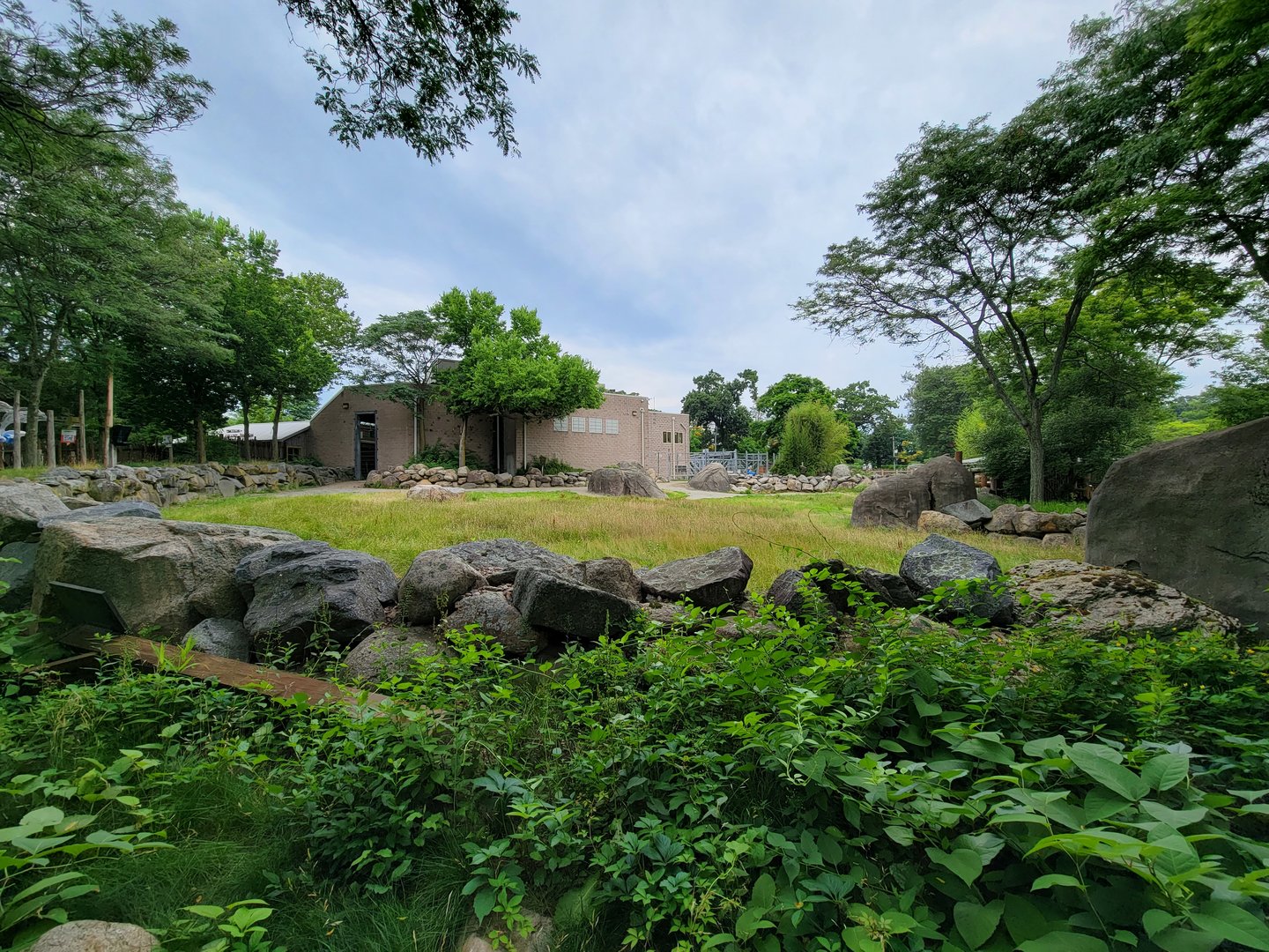 RWPZ 7/22 - Giraffe yard