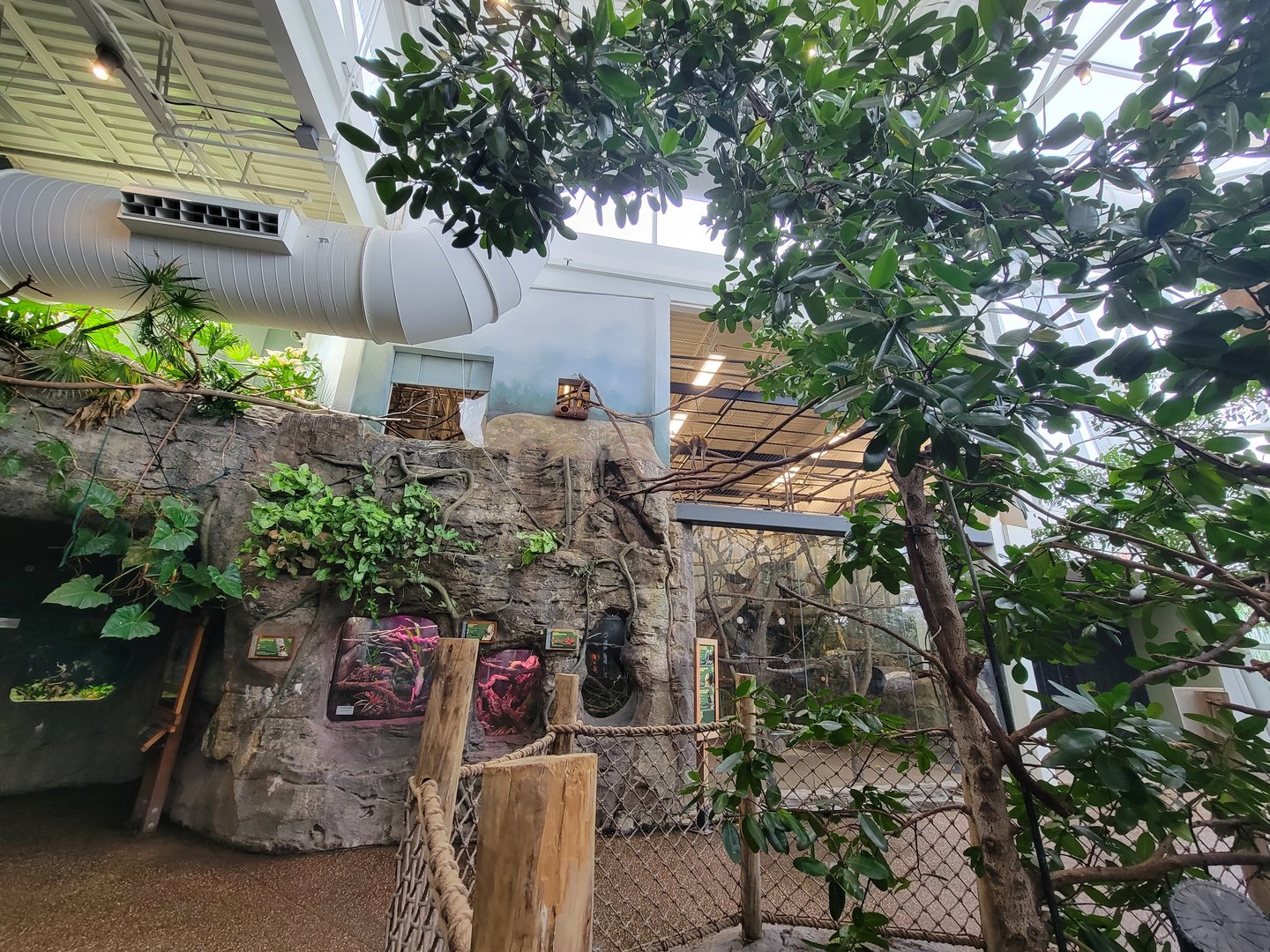 RWPZ 7/22 - Herp windows, dog door for tamarins, Bolivian grey titi monkeys