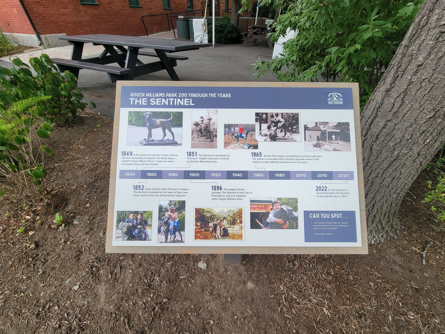 RWPZ 7/22 - History of Sentinel