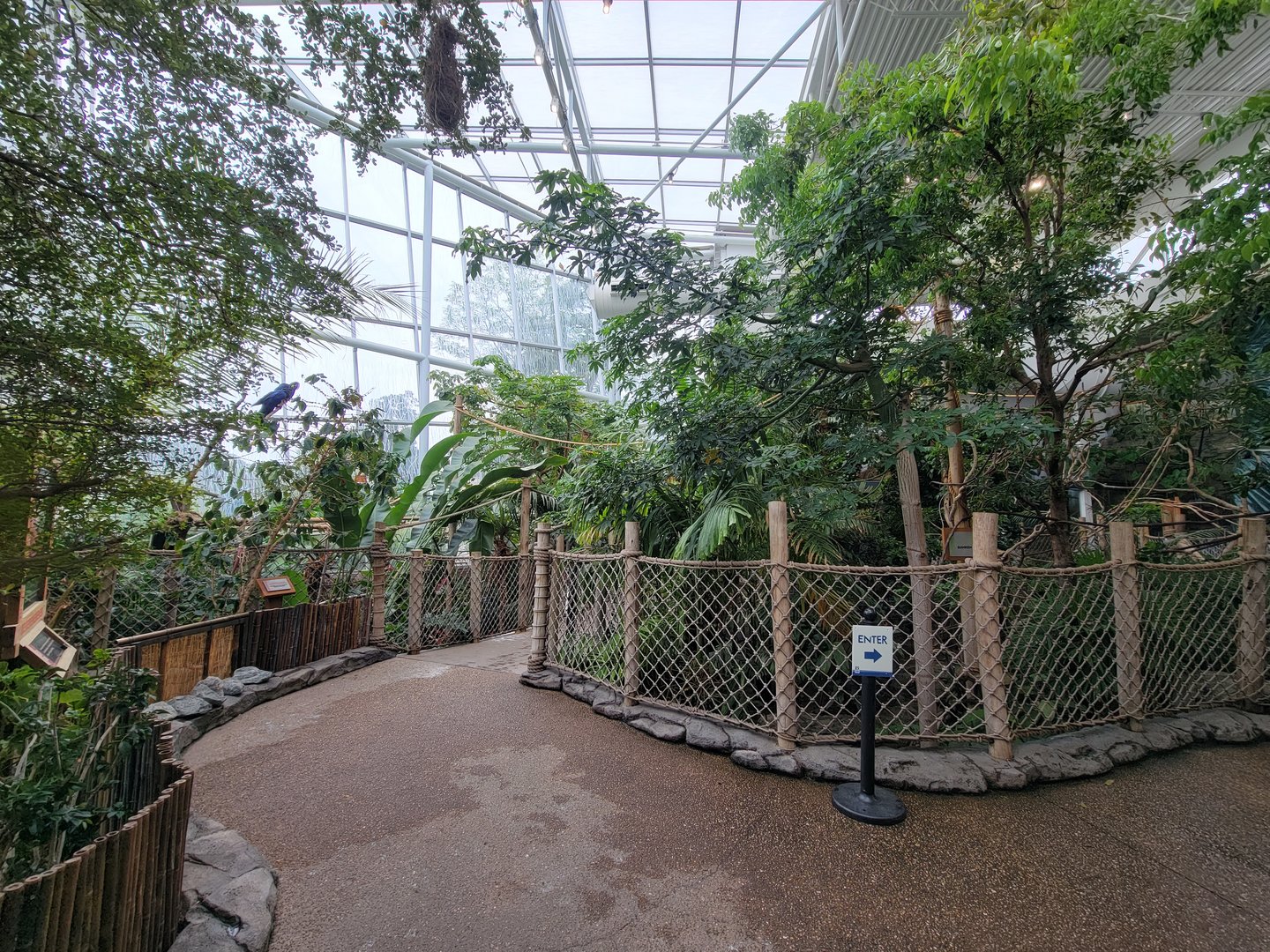 RWPZ 7/22 - Inside Faces of the Rainforest