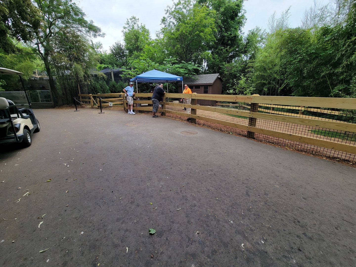 RWPZ 7/22 - Interaction yard (had armadillos in it)