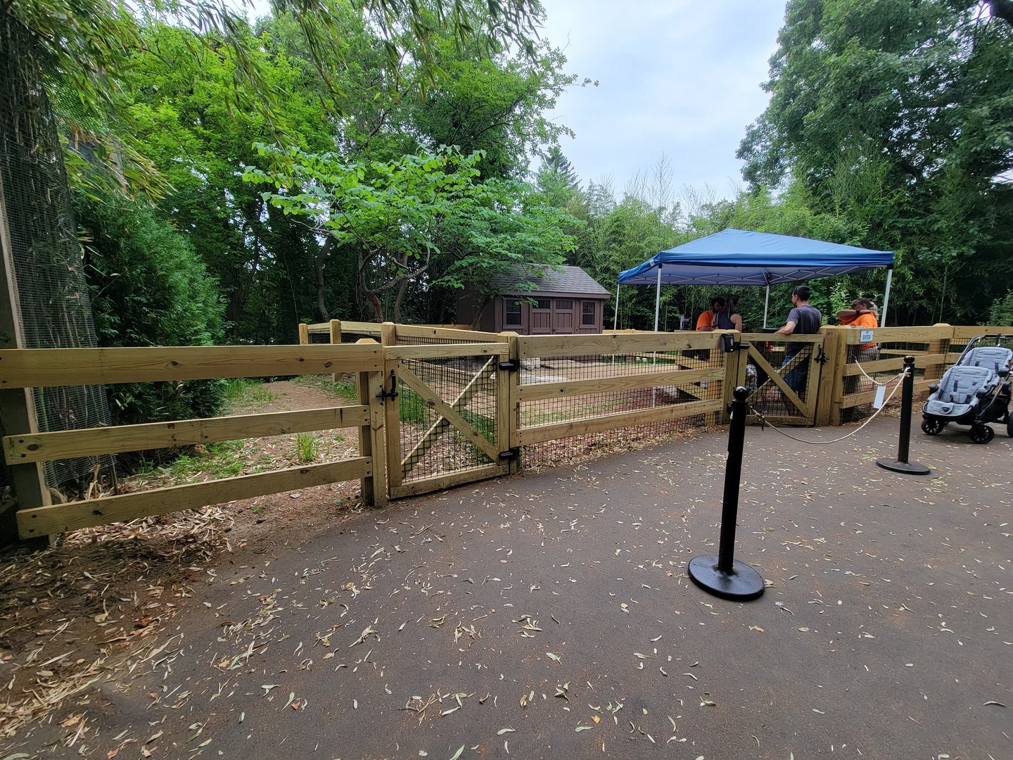 RWPZ 7/22 - Interaction yard (had armadillos in it)