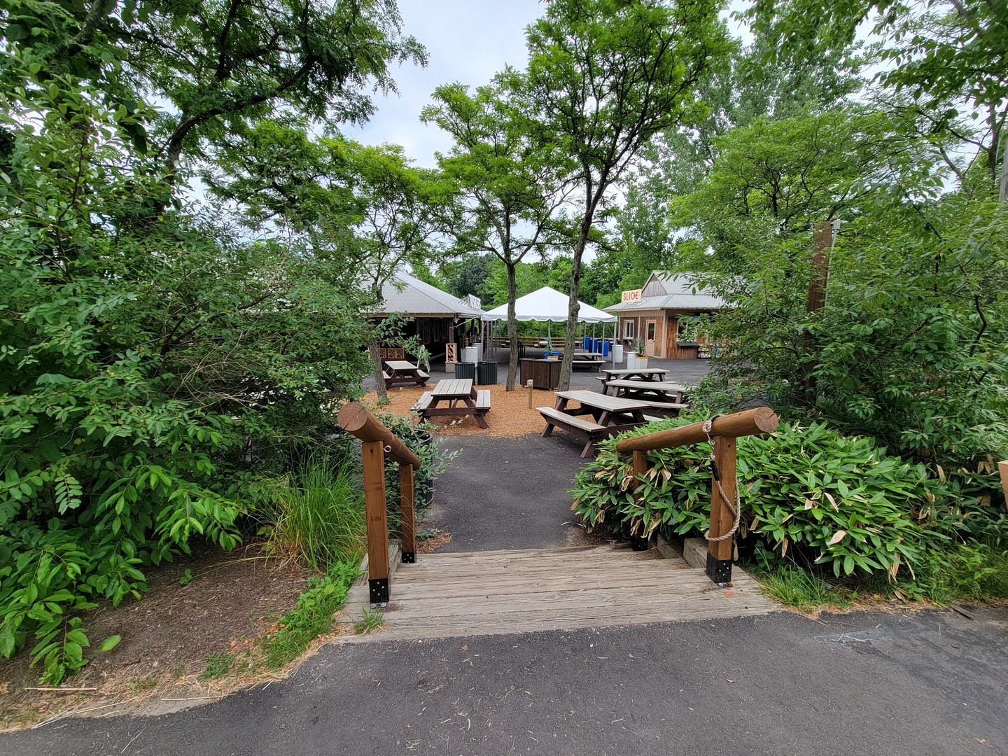 RWPZ 7/22 - Jambo Junction