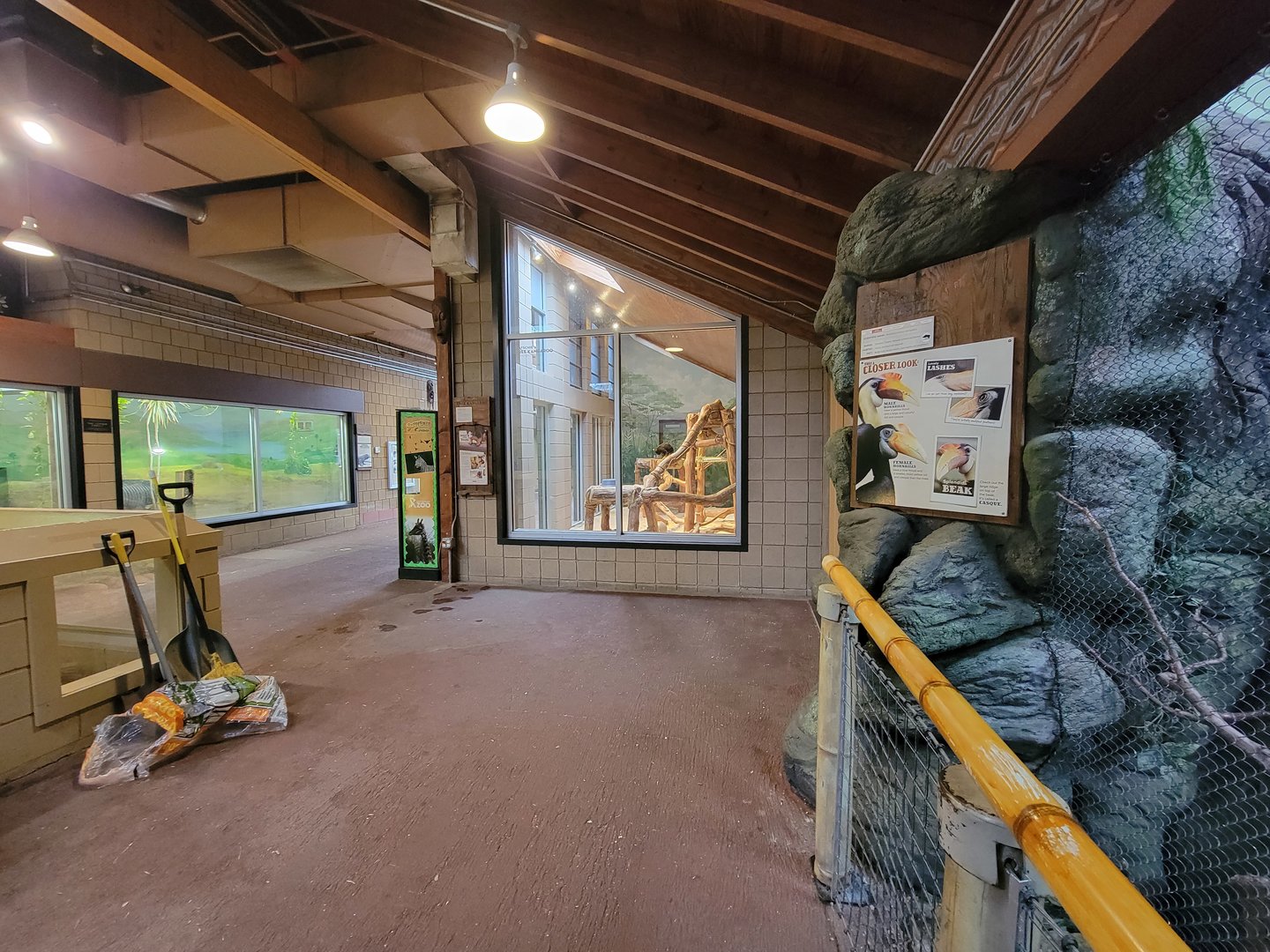 RWPZ 7/22 - Komodo dragon, Matschie's tree kangaroo