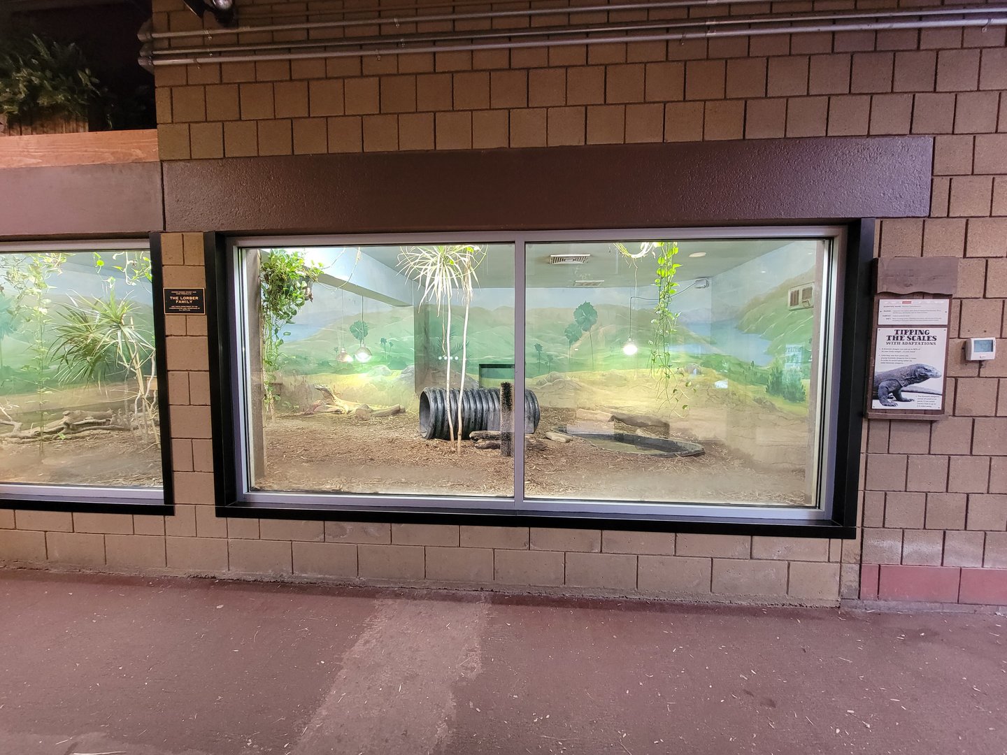 RWPZ 7/22 - Komodo Dragon