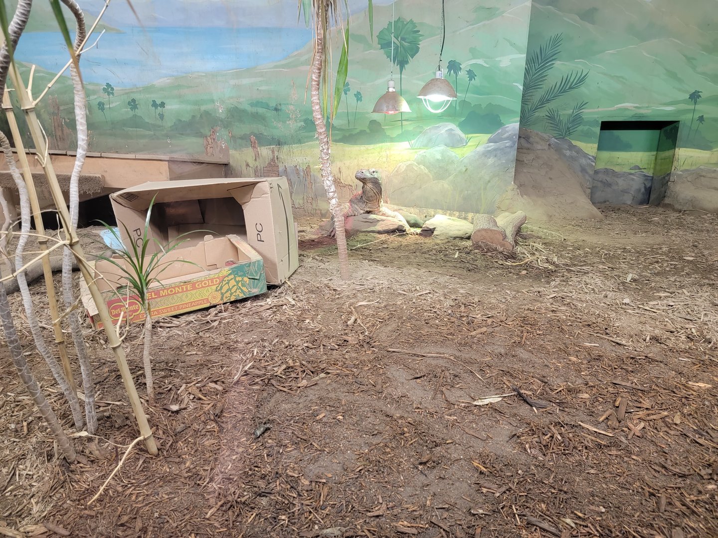 RWPZ 7/22 - Komodo Dragon